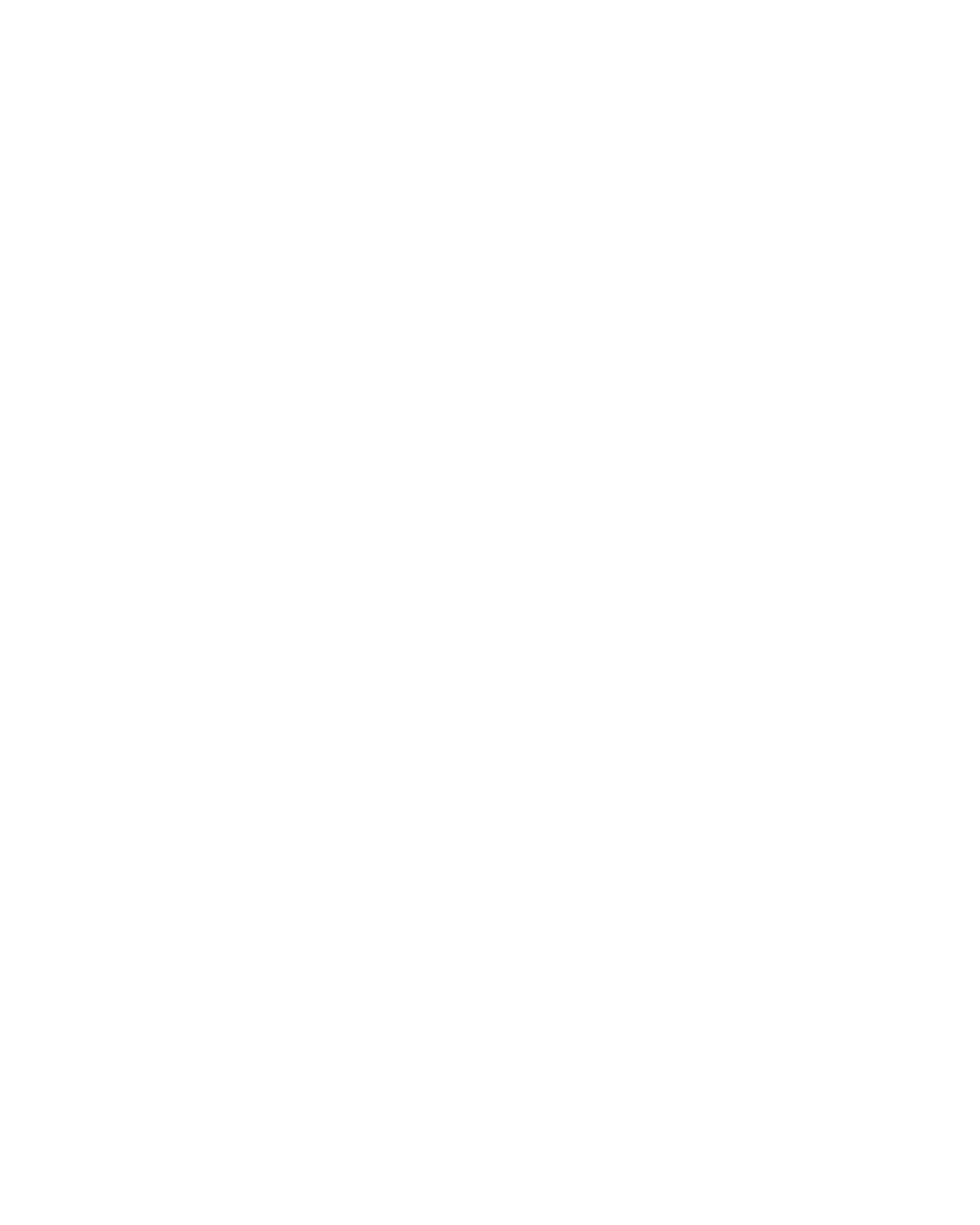 Syed Amir Naqib & Co — SANCO